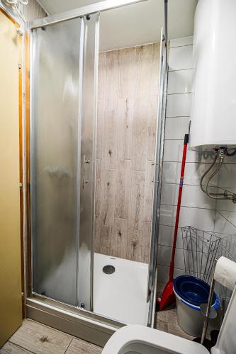 a shower with a glass door in a bathroom at Holiday Home Brina 69 in Čatež ob Savi