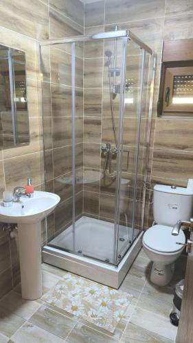 a bathroom with a shower and a toilet and a sink at Apartmani Stara kuca in Žabljak