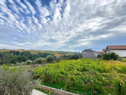 a cloudy sky above a field with bushes and a house at Villa Marusia in Tollo