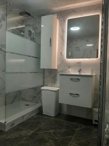 une salle de bain avec un lavabo, un miroir et une douche dans l'établissement Charmante maison normande !, à Pont-Audemer
