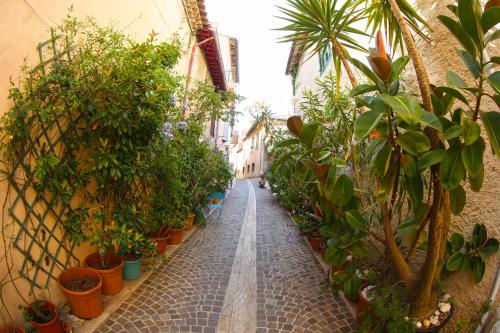 Une allée avec des plantes en pot sur le côté d'un bâtiment dans l'établissement studio au centre de Cassis, à Cassis