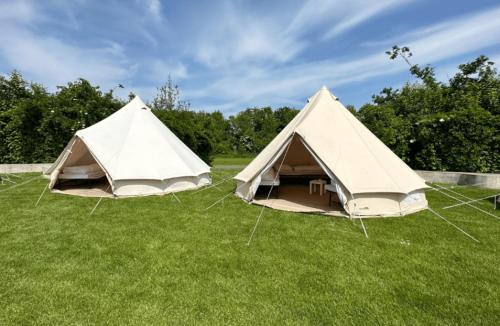 Zahrada ubytování TT Circuit Assen 2026 Glamping incl stroom