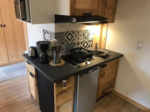 - une cuisine avec un plan de travail, un évier et un lave-vaisselle dans l'établissement Studio à la montagne Flumet, à Flumet