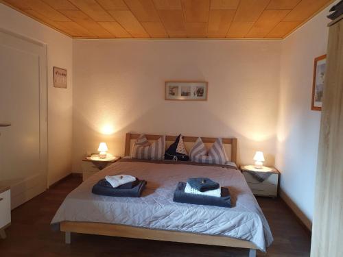 Postel nebo postele na pokoji v ubytování Ferienwohnung Picidae 55172