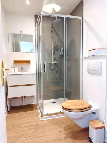 une salle de bain avec une douche avec des toilettes et un lavabo dans l'établissement Appartement Au Cœur de Granville, à Granville