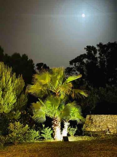 Jardín al aire libre en Luxury Home & Pool