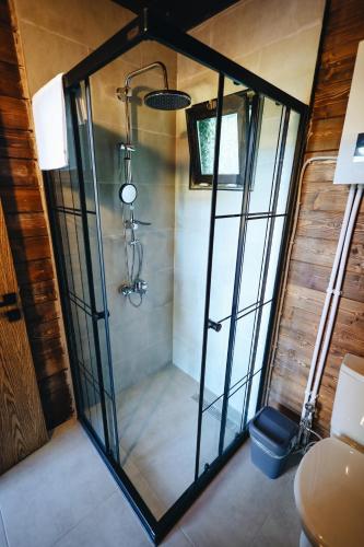 a shower with a glass door in a bathroom at Mora Farmhouse in Ardeşen