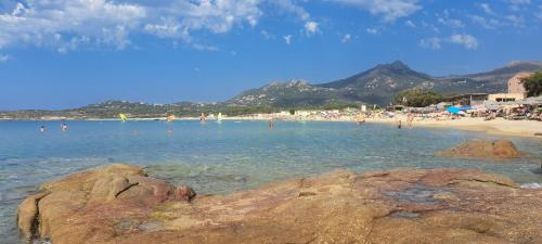 a beach with a bunch of people in the water at Ferienhotel Maristella in Algajola