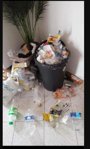 un tas de déchets sur le sol à côté d'une plante dans l'établissement T2 Spacieux Marseille centre ville, à Marseille