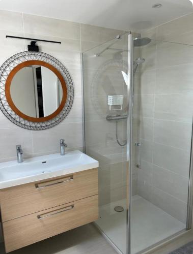 une salle de bain avec une douche, un lavabo et un miroir dans l'établissement Appartement en duplex Trevieres 3 eme étage, à Trévières