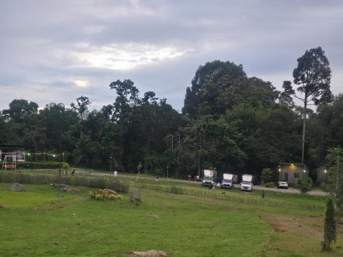 a field with cars parked on a road with trees at Riverhill khaoyai Camping in Pong Talong