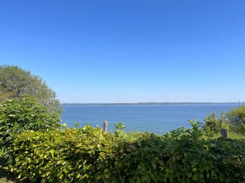 a view of a large body of water at Dancamps Trelde Naes in Fredericia