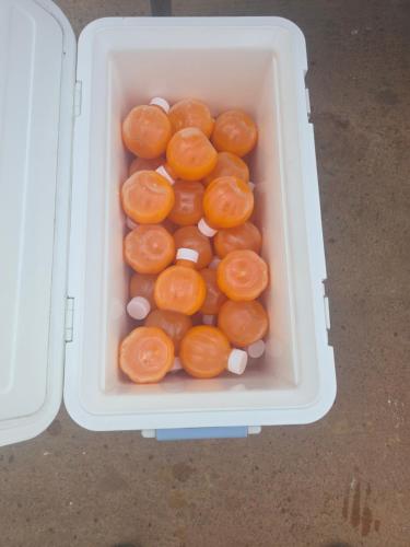 Φαγητό σε οργανωμένο κάμπινγκ ή κάπου εκεί κοντά