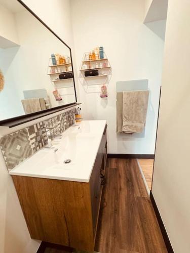 une salle de bain avec un lavabo et un miroir dans l'établissement L'HendriX - Appartement Grand Confort - VallabriX proche UZES, à Vallabrix