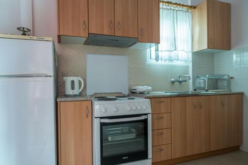 a kitchen with a stove and a sink and a refrigerator at Sivota Bay in Sivota