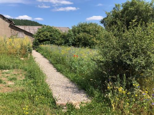 a path in the middle of a field with flowers at La Jasse in Saint-Beauzély