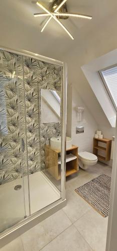 a bathroom with a shower and a toilet at Biały Port in Rajgród