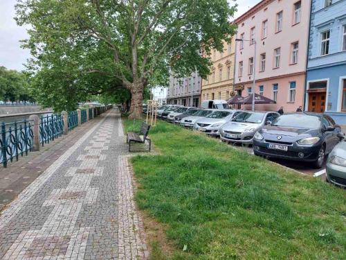 a park bench next to a row of parked cars at Apartmán ČSA #2# v historickém centru Hradec Králové in Hradec Králové