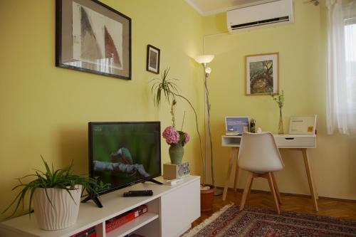 A television and/or entertainment centre at Hedgehog's Home - Ježeva kućica Free Parking