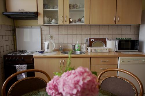 a kitchen with a counter with a sink and a microwave at Hedgehog's Home - Ježeva kućica Free Parking in Sarajevo