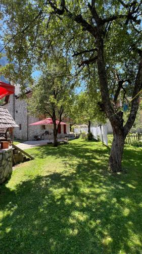Zahrada ubytování Stonehouse villa