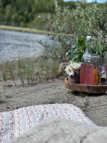 a tray with two glasses and a bottle of wine at Efri Halfa in Homstad