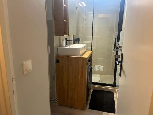 une salle de bain avec un lavabo et un miroir dans l'établissement Le Studio - Parking & Balcon, à Toulouse