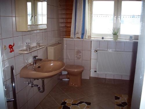 La salle de bains est pourvue d'un lavabo et de toilettes. dans l'établissement Haus Evi, à Neusorg