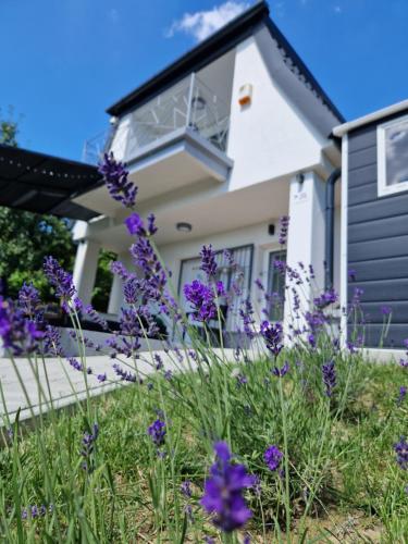 Várta-Lak Panoráma Présház Vendégház