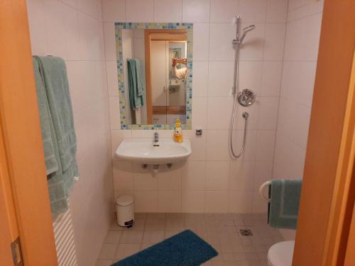 un baño con lavabo y ducha en Haus Naturenergie, en Frauenau