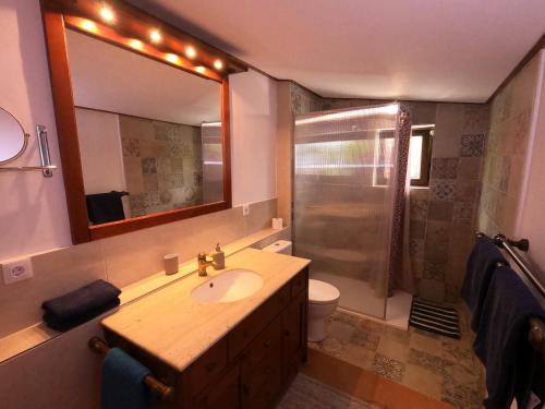 un bagno con lavandino e doccia con specchio di Charming Canarian House at Villa Lila a Puerto de la Cruz