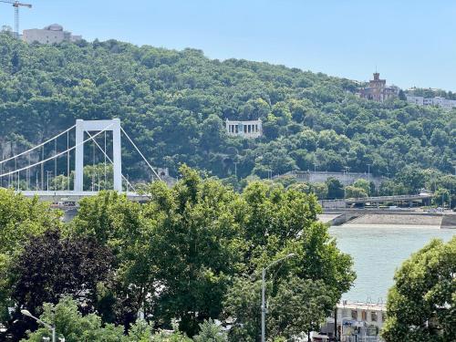 Golden Studio at Erzsebet bridge 1052 Budapest, Régi posta utca 2 kép - 3