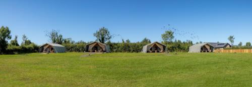 Příroda nedaleko luxury tent