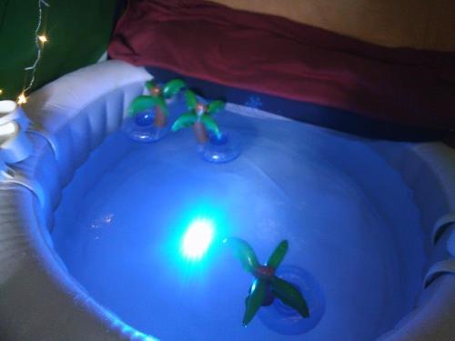 a blue tub with a fish toy in it at Rosie and Jim Retreat with hot tub indoors amazing in Lincoln