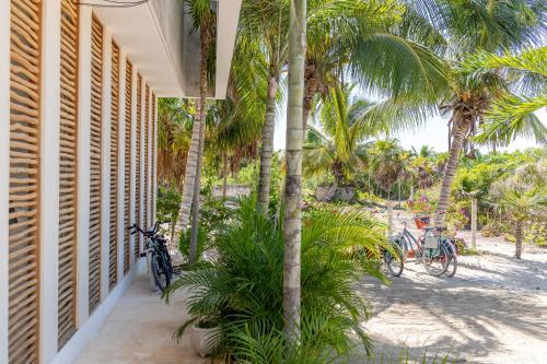 a patio with palm trees and bikes parked next to it at Cucu Hotel El Cuyo in El Cuyo