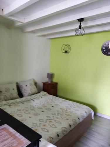1 dormitorio con 1 cama en una pared verde en Studio au cœur de la Sologne, en Romorantin-Lanthenay