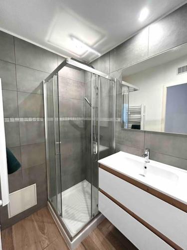 une salle de bain avec douche et lavabo dans l'établissement Magnifique T2 place de la cathédrale et passerelle, à Vienne