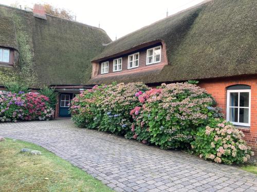 a house with a thatched roof with flowers in front of it at Heuboden, Nieblum in Nieblum