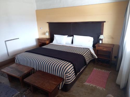 a bedroom with a large bed and two tables at Tupungato Divino in Tupungato