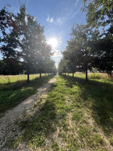 a dirt road with trees in a field at Appart Hôtel Coraline - Genas Lyon Eurexpo in Genas