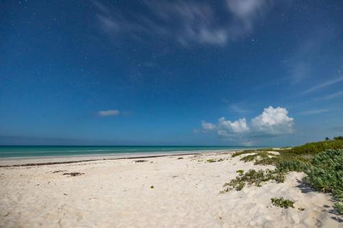 a sandy beach with the ocean in the background at Cucu Hotel El Cuyo in El Cuyo