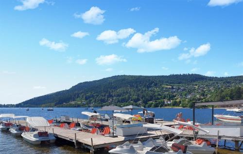 a group of boats docked at a dock on a lake at Gorgeous Apartment In Le Thillot in Le Thillot