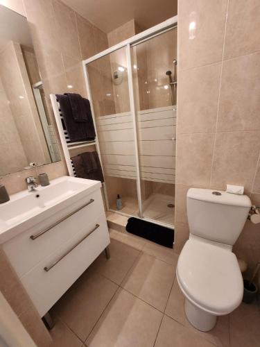 une salle de bain avec toilettes, lavabo et douche dans l'établissement Appartement Nice Carré d Or, à Nice