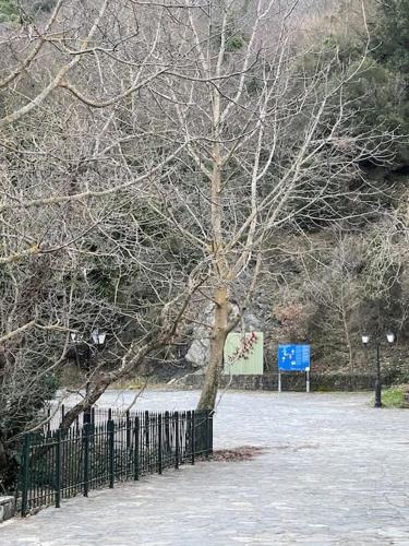 a tree behind a fence with snow on the ground at Τελωνείο Βαμβακούς in Vamvakoú