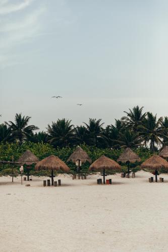 a group of straw umbrellas on a beach at Cucu Hotel El Cuyo in El Cuyo