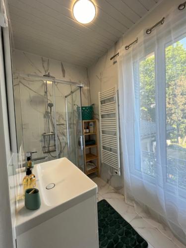 La salle de bains est pourvue d'une douche et d'un lavabo blanc. dans l'établissement Appartement de charme climatisé à Bagneux, à Bagneux