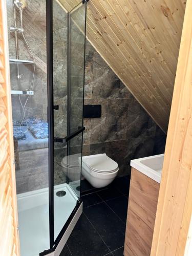 a bathroom with a toilet and a glass shower at Apartamenty Bezrzecze in Szczecin