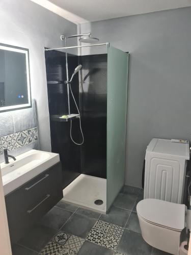 a bathroom with a shower and a toilet and a sink at Chemnitz - Home Sweet Home in Chemnitz
