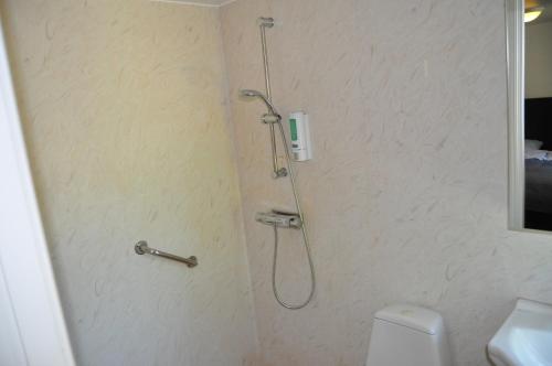 a shower stall in a bathroom with a toilet at långstorp höör huvudbyggnad v flygel in Höör