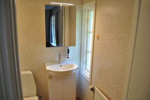 a bathroom with a sink and a mirror and a toilet at långstorp höör huvudbyggnad v flygel in Höör